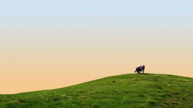 Minimalist kompozisyon işadamı pastel gökyüzünün altındaki yeşil tepede dinleniyor. Zihinsel bozulma, iş hayatı dengesi, tükenmiş iyileşme, liderlik yansıması, kurumsal refah ve sakin yaşam tarzı kavramı.