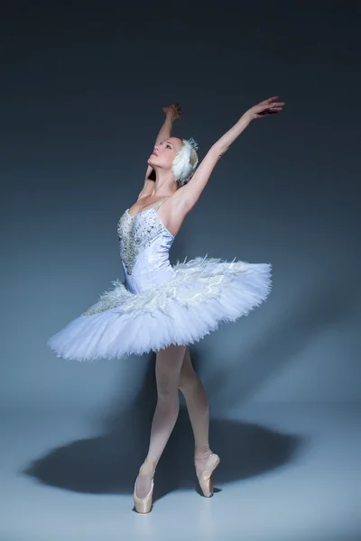 Porträt der Ballerina in Ballett-Tatu auf blauem Hintergrund — Stockfoto