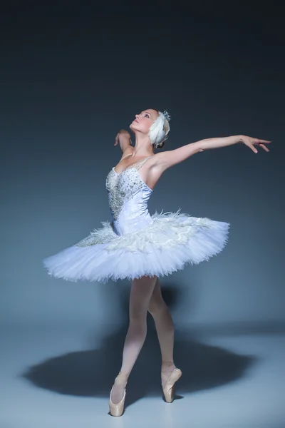 Retrato de la bailarina en tatu de ballet sobre fondo azul — Foto de Stock