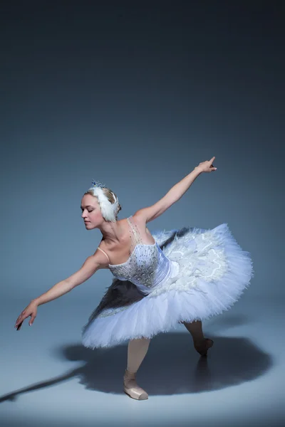 Retrato Bailarina Papel Cisne Branco Fundo Azul — Fotografia de Stock