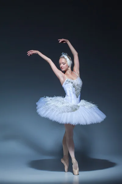 Retrato de la bailarina en tatu de ballet sobre fondo azul —  Fotos de Stock