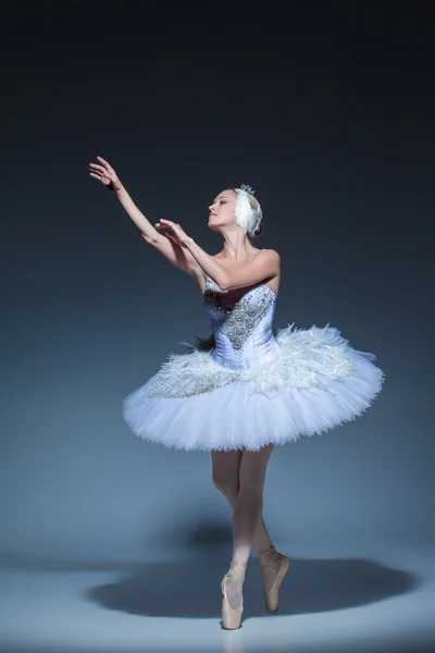 Retrato da bailarina em tatu de balé em fundo azul — Fotografia de Stock