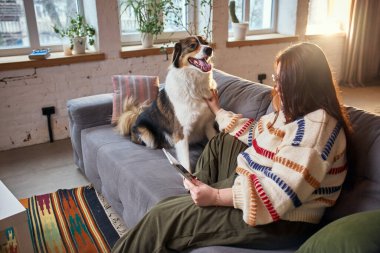 Evde tablet kullanan bir kadınla koltukta oturan mutlu köpek. Evcil hayvan dostu yaşam tarzı, uzaktan çalışma görselleri, evcil hayvanlar için online alışveriş ve hayvan markaları için dijital içerik kavramı.