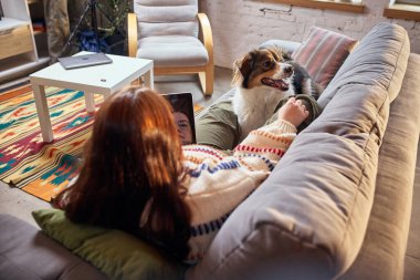 Evde tablet kullanırken kanepede mutlu bir köpekle dinlenen bir kadın. Uzak yaşam tarzı kavramı, çevrimiçi hayvan alışverişi, dijital servis reklamcılığı ve samimi ev arkadaşlığı görselleri..