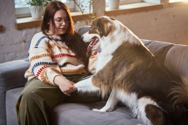Evdeki kanepede tablet kullanırken köpek patisi tutan kadın. Dijital yaşam tarzı, evcil hayvan bakım hizmetleri tanıtımı, online alışveriş ve modern ev hayatı kavramı.
