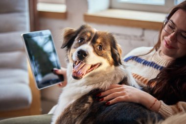 Köpek rahat oturma odasında yanında dinlenirken bir kadın kanepede çalışıyor. Uzak iş hayatı kavramı, ev ofis konforu, iş hayatı dengesi ve evcil hayvan dostu üretkenliği.