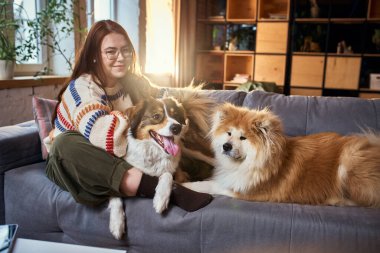 Sıcak, modern bir dairede iki köpekle oturan bir kadın. Aile yaşam tarzı markalaşması, evcil hayvan evlat edinme kampanyaları, konfor reklamları ve toplum değerleri kavramı.