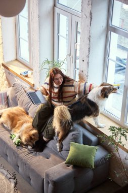 Köpekler oturma odasında dinlenirken dizüstü bilgisayarda uzaktan çalışan bir kadın. Uzaktan çalışma platformu tanıtımı, teknoloji markası reklamcılığı ve iş hayatı dengesi pazarlama görselleri.