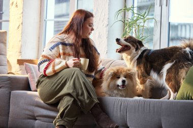 Modern oturma odasındaki kanepede iki mutlu köpekle kahve içen kadın. Hayvan sigortası reklamları, veterinerlik tanıtımı, ev konforu markalaşması ve aile yaşam tarzı pazarlama kampanyaları kavramı.
