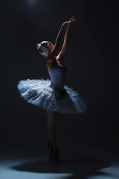 Portret van de ballerina in ballet tatu op dack achtergrond — Stockfoto