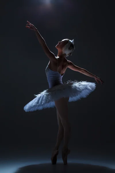 Retrato de la bailarina en tatu de ballet sobre fondo de saco —  Fotos de Stock