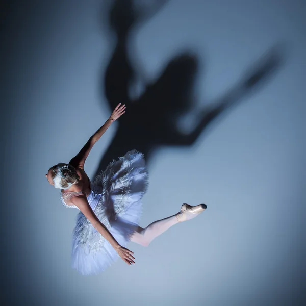 Portret baleriny w balet tatu na niebieskim tle — Zdjęcie stockowe