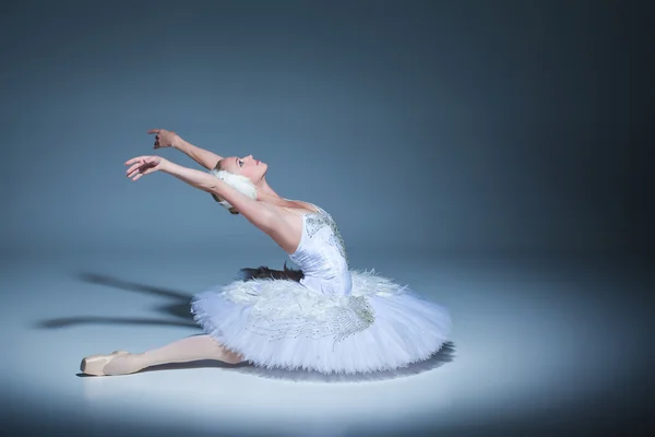 Retrato de la bailarina en tatu de ballet sobre fondo azul — Foto de Stock