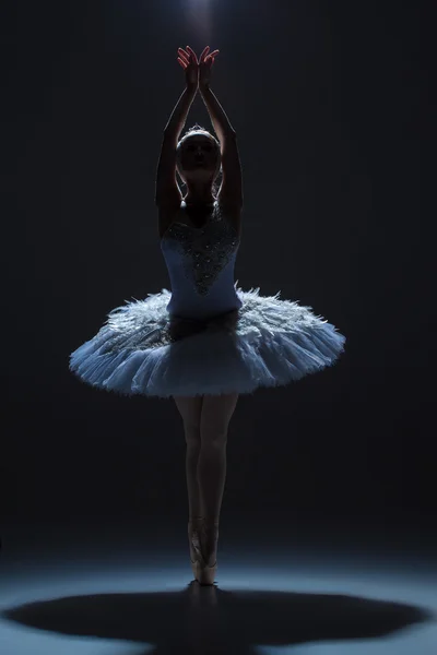 Portret van de ballerina in ballet tatu op dack achtergrond — Stockfoto