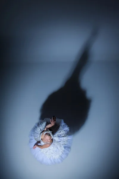Портрет балерины на балетном тату на синем фоне — стоковое фото