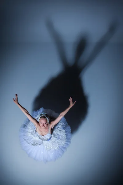 Porträt der Ballerina in Ballett-Tatu auf blauem Hintergrund — Stockfoto