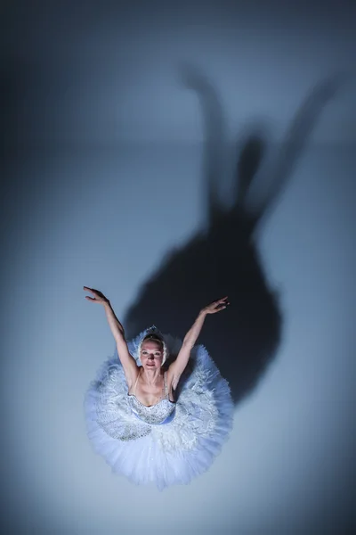 Portret van de ballerina in ballet tatu op blauwe achtergrond — Stockfoto