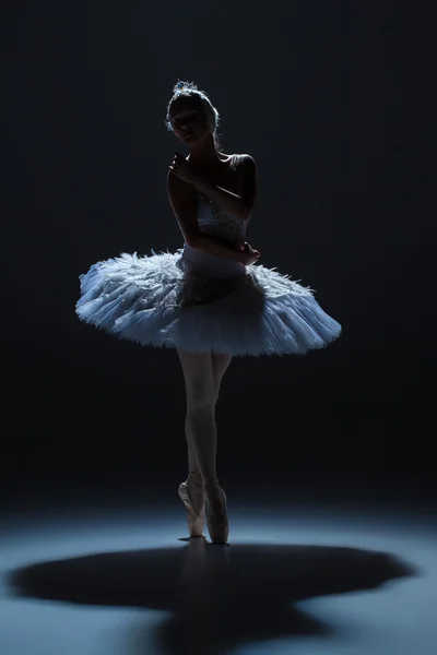 Retrato da bailarina em tatu de balé no fundo dack — Fotografia de Stock