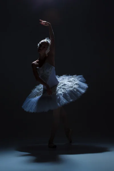 Retrato de la bailarina en tatu de ballet sobre fondo de saco — Foto de Stock