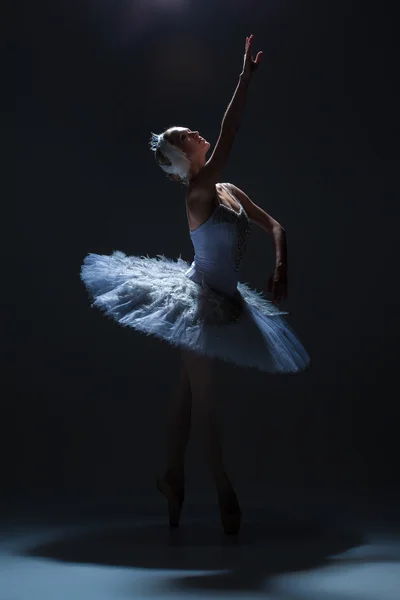 Портрет балерини в балеті на фоні даху — стокове фото