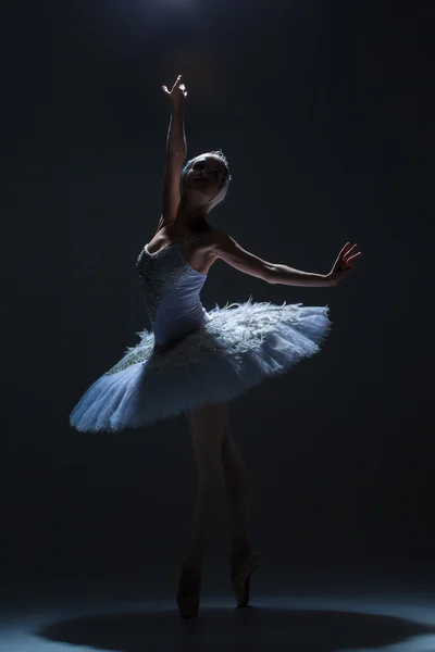 Retrato de la bailarina en tatu de ballet sobre fondo de saco — Foto de Stock