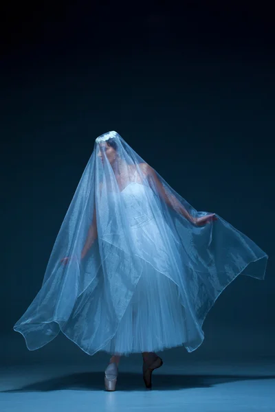 Retrato da bailarina em fundo azul — Fotografia de Stock
