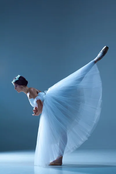 Portret van de ballerina op blauwe achtergrond — Stockfoto