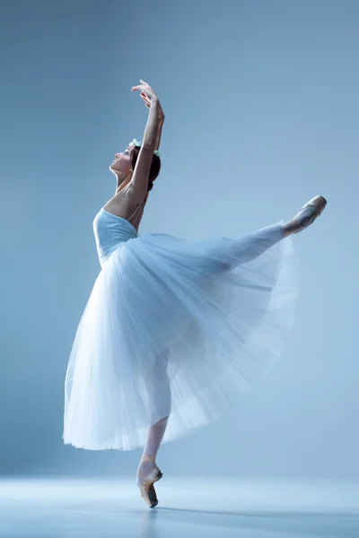 Retrato da bailarina em fundo azul — Fotografia de Stock