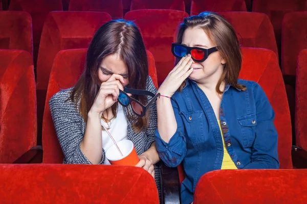 The spectators in the cinema — 스톡 사진