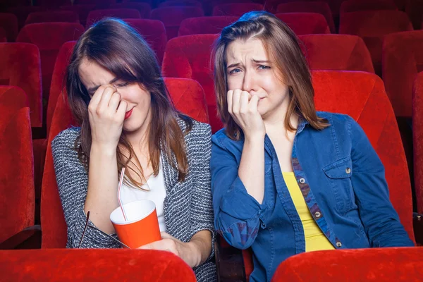 The spectators in the cinema Royalty Free Stock Photos