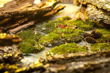Miniature people  on background of moss and bark