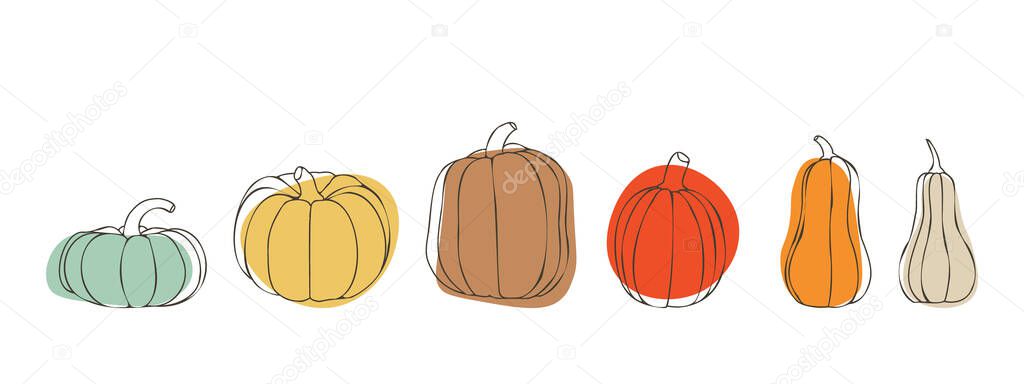 Pumpkin set for Thanksgiving or Halloween day. Pumpkins in various sizes and colors. For autumn designs.