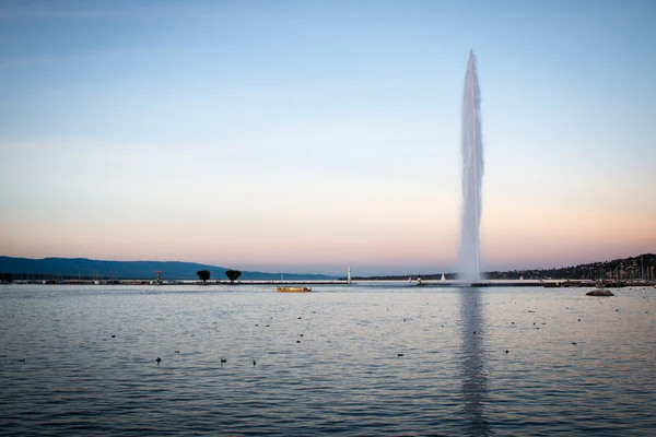 Ženeva Jet d'eau s Mouette během zlaté hodiny — Stock fotografie