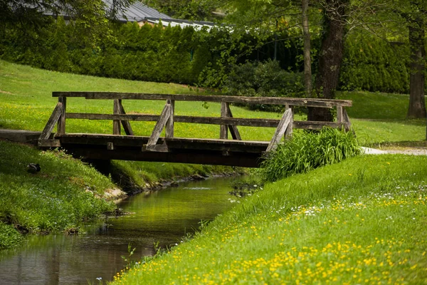 Parktaki Küçük Dere Kıyısındaki Ahşap Köprü Yemyeşil Yeşilliklerle Dolu Stok Resim