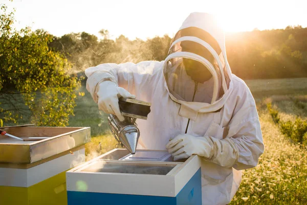 Beekeeper Working Bees Sunset —  Fotos de Stock