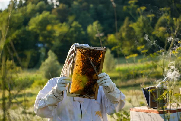 Včelař Bílém Ochranném Obleku Kontroluje Nebo Včelí Box — Stock fotografie