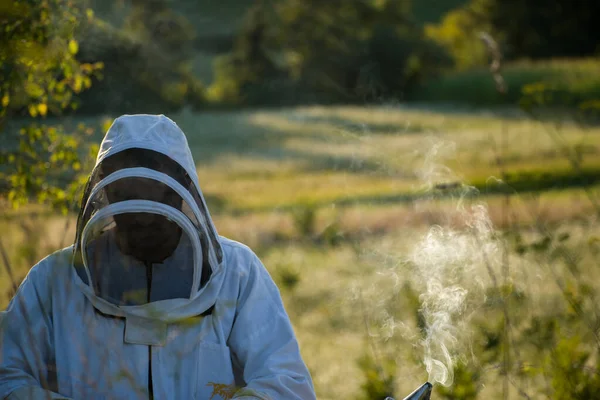 Пчеловод Белом Защитном Костюме Пышной Зеленой Природой Качестве Фона — стоковое фото