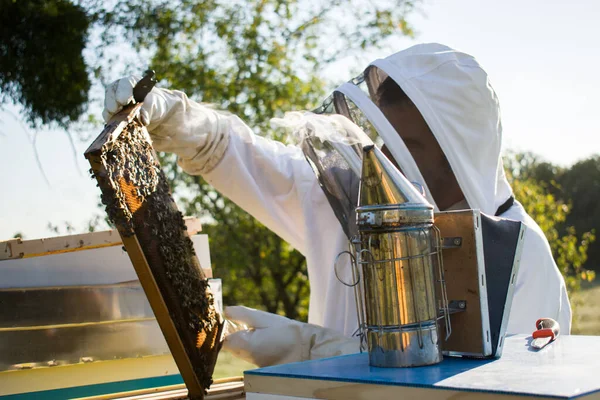 Сельский Пчеловод Белом Пчеловодческом Костюме Осматривает Медовую Раму Пасеке — стоковое фото