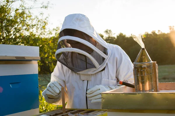 Včelař Provádějící Včelí Léčbu Proti Roztoči Varroa Zblízka — Stock fotografie