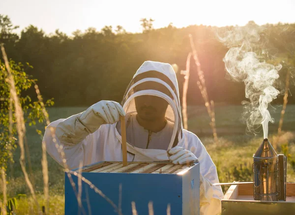Včelař Provádějící Včelí Léčbu Proti Roztoči Varroa Včelař Pracuje Včelíně — Stock fotografie