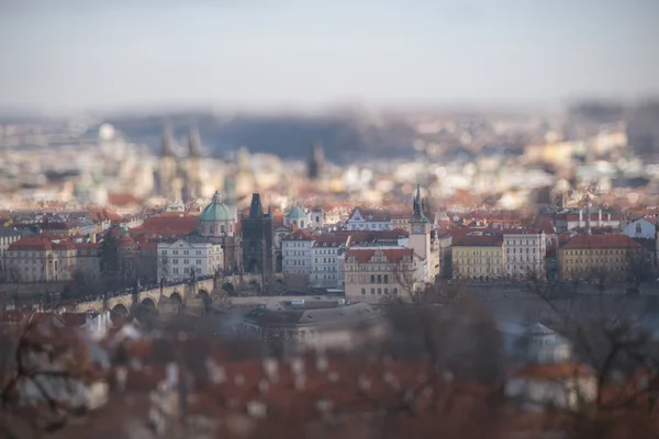 Прага в объективе сдвига наклона Стоковая Картинка