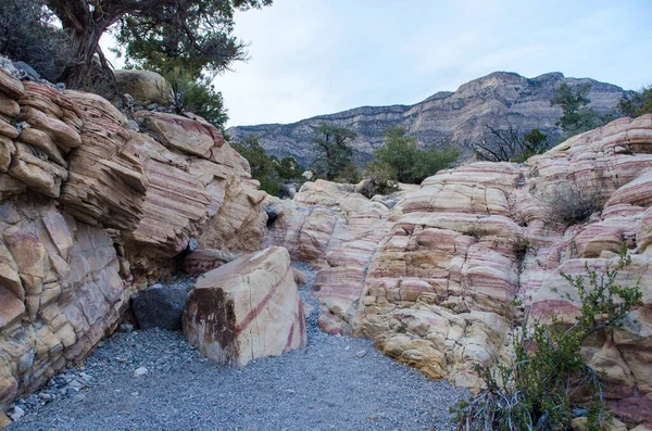 Krajina Národního Parku Red Rock Canyon — Stock fotografie