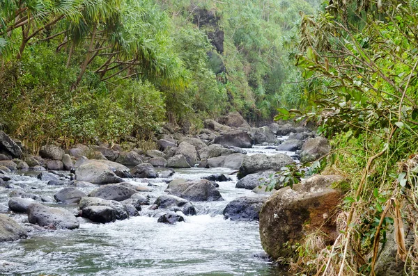 Hermoso Río Kalalau Trail Kauai Hawai Fotos De Stock