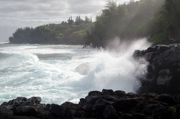 Hermosa Ola Estrellándose Baño Reina Hawaii — Foto de Stock