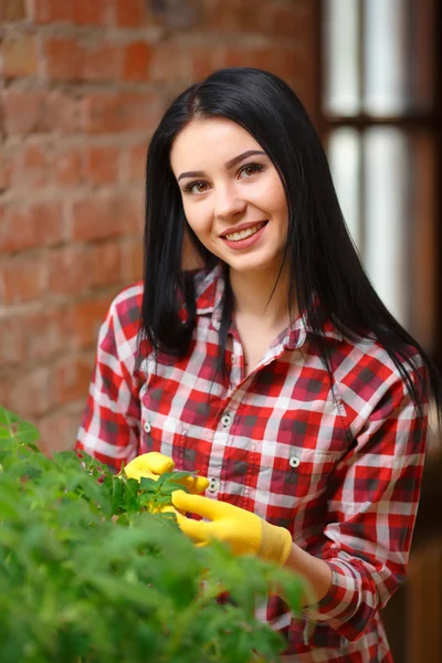 Portret van een charmante jonge vrouwelijke tuinieren — Stockfoto