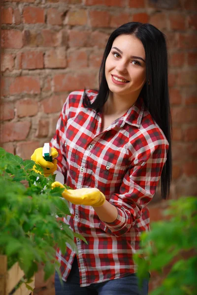 魅力的な若い女性の園芸の肖像画 — ストック写真