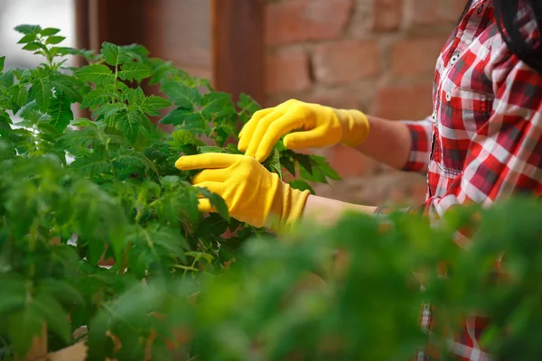 Portrait d'une charmante jeune femme jardinage — Photo