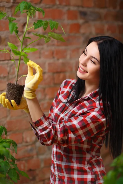Portret van een charmante jonge vrouwelijke tuinieren — Stockfoto