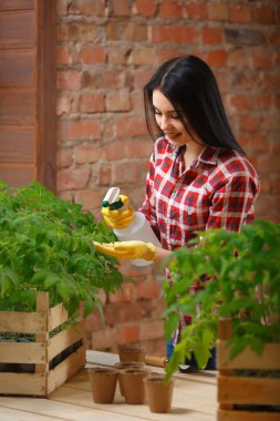 domates fidesi ile su püskürtme kadın