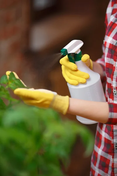 Femme jardinier pulvérisation d'eau — Photo